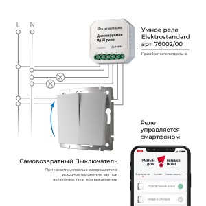 W1122406/ Выключатель двухклавишный с самовозвратом (серебряный)