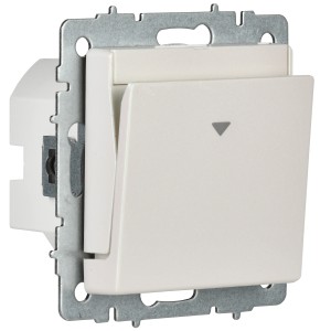 BRITE Выключатель карточный 30А ВС10-1-8-БрЖ жемчуг IEK