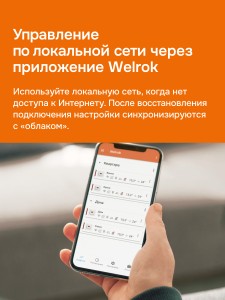 Терморегулятор Welrok vz bk atl.