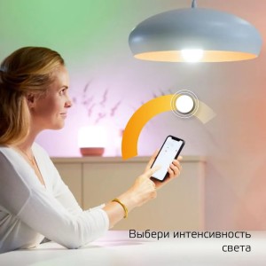 Лампа Gauss Smart Home A60 8,5W 806lm 2700К E27 диммируемая LED