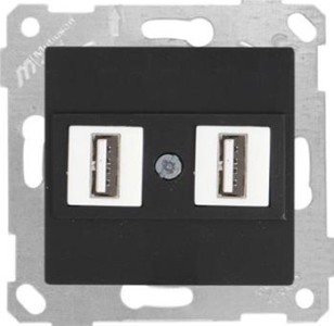 Rita - Розетка 2xUSB Type A, для передачи данных, черный мат