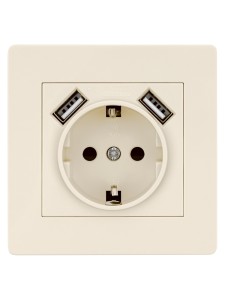 Розетка 2П+З 16А 250В + 2 USB порта 2,1А 5В сл.кость "Сенеж" TDM
