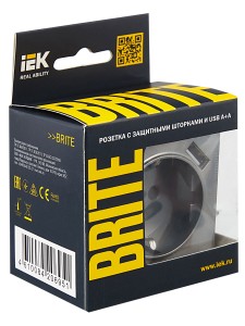 BRITE Розетка 1-местная с заземлением с защитными шторками 16А с USB A+A 5В 2,1А РЮш10-1-БрС сталь IEK