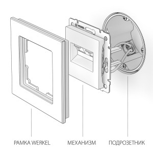 W1181103/ Розетка двойная Ethernet RJ-45 (слоновая кость)