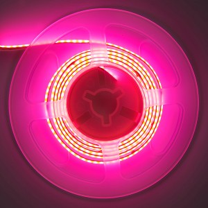 GLS-COB-320-8-24-IP20-P